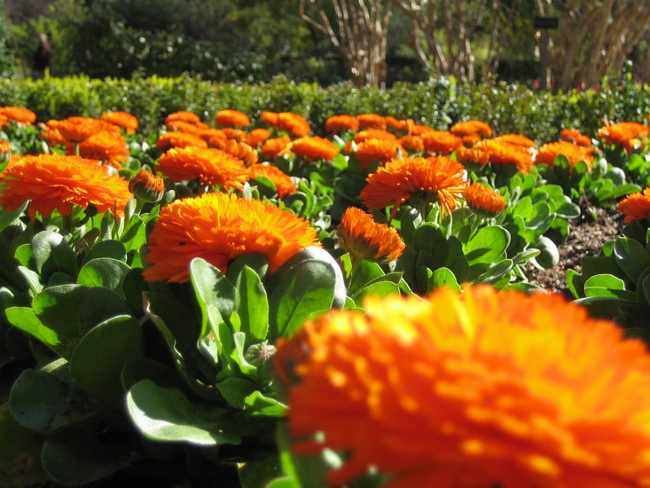 Foto de Madrid (Comunidad de Madrid), España