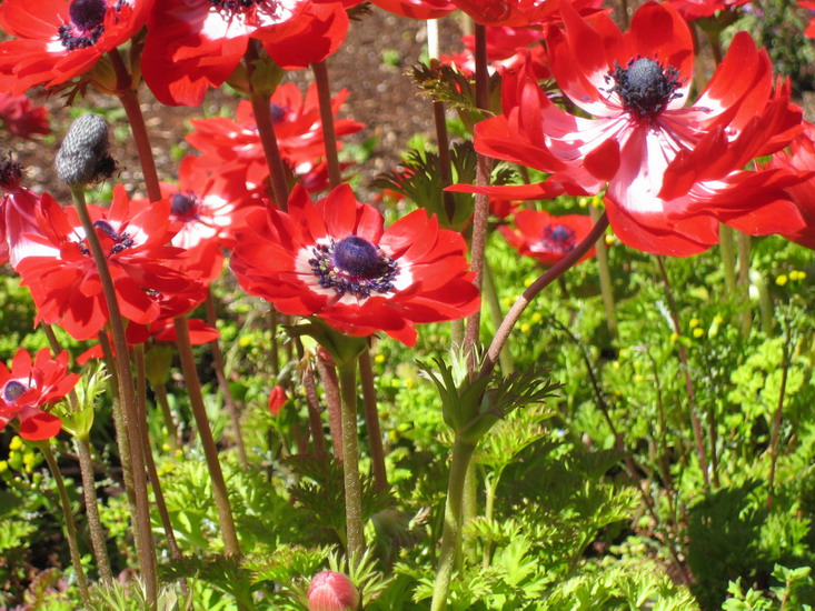 Foto de Madrid (Comunidad de Madrid), España