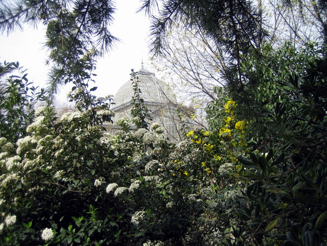 Foto de Madrid (Comunidad de Madrid), España