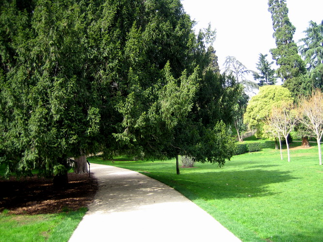 Foto de Madrid (Comunidad de Madrid), España