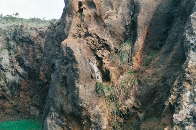 Foto de Cabarceno (Cantabria), España