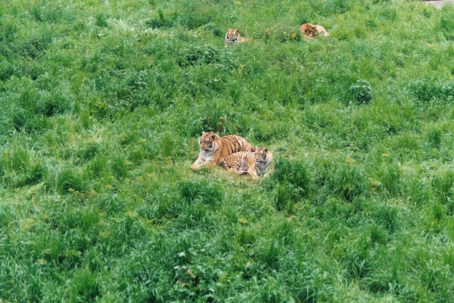 Foto de Cabarceno (Cantabria), España