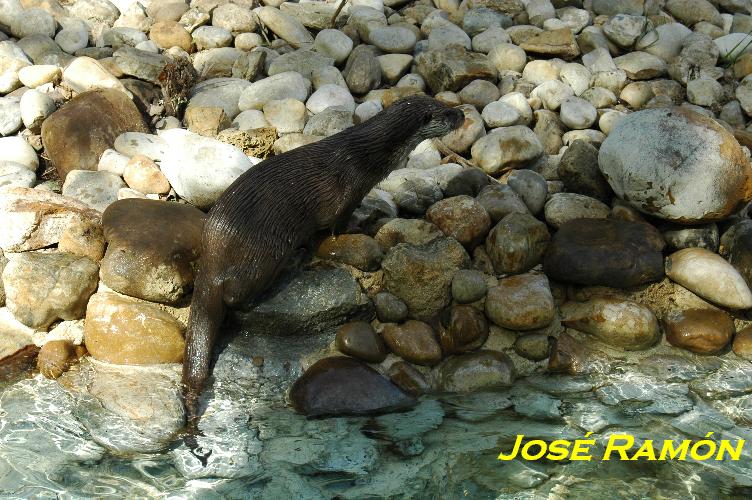 Foto de Jerez  de la Frontera (Cádiz), España