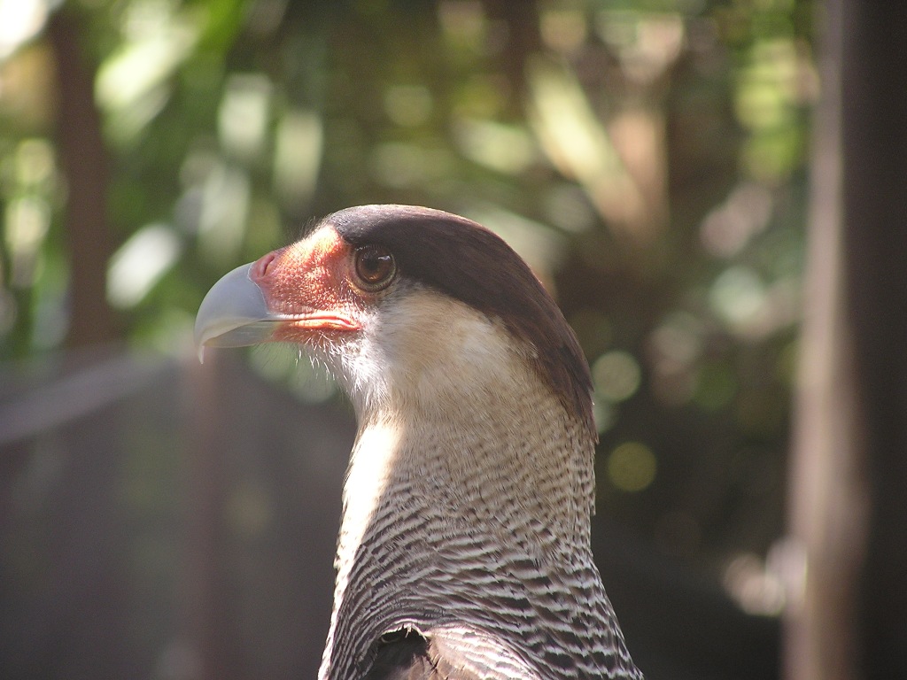 Foto de Buenos Aires, Argentina