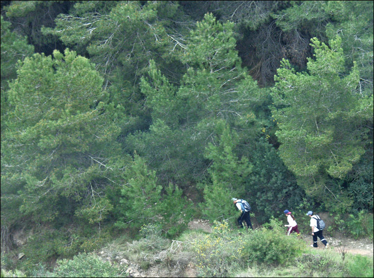 Foto de La Unión (Murcia), España