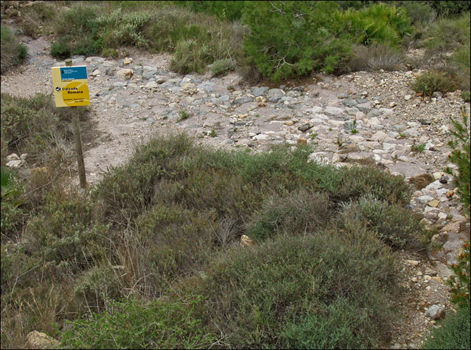 Foto de La Unión (Murcia), España