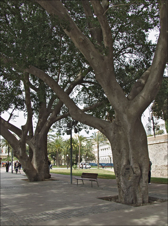 Foto de Cartagena (Murcia), España