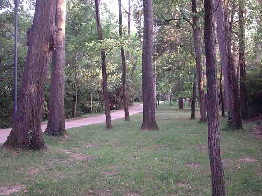 Foto de Pamplona (Navarra), España