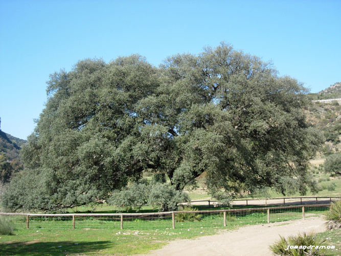 Foto de Coripe (Sevilla), España