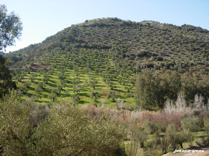 Foto de Coripe (Sevilla), España
