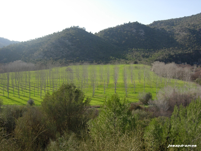 Foto de Coripe (Sevilla), España