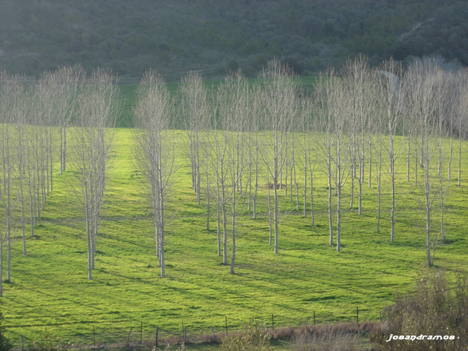 Foto de Coripe (Sevilla), España
