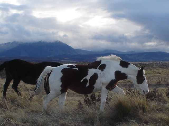 Foto de Coyhaique, Chile