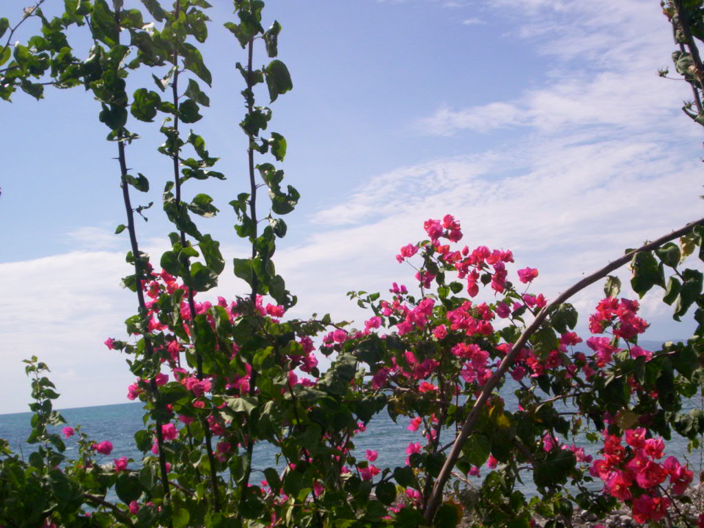Foto de Azua, República Dominicana