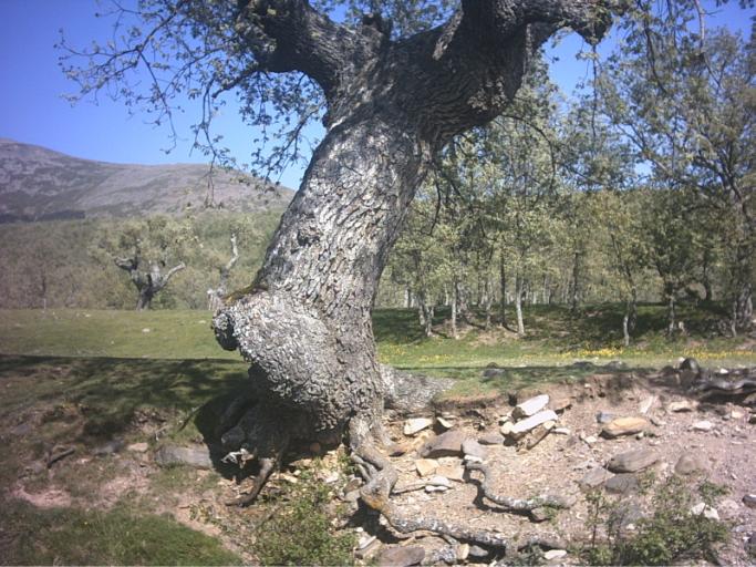 Foto de La Cueva de Agreda (Soria), España