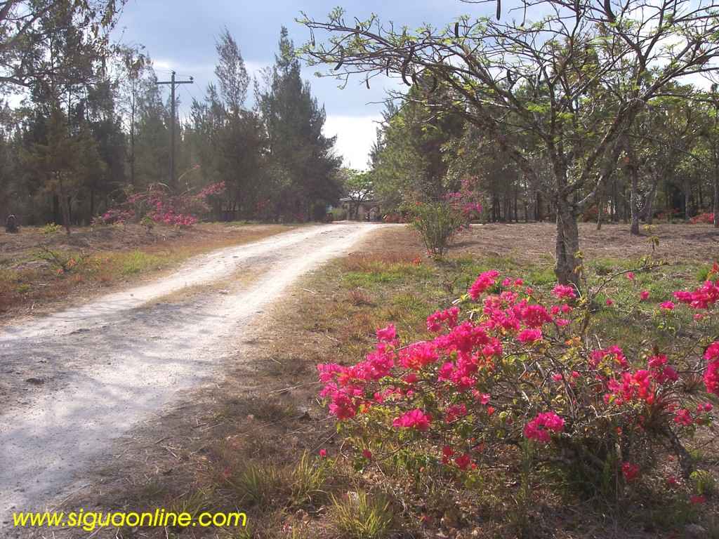 Foto de Siguatepeque, Honduras