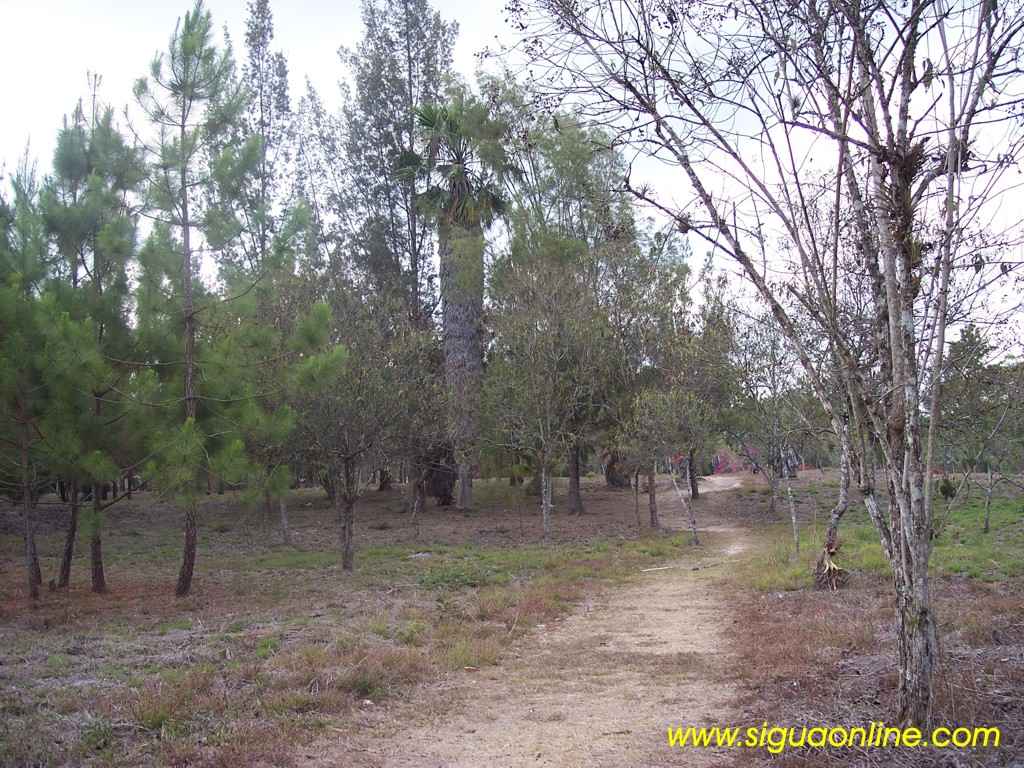 Foto de Siguatepeque, Honduras