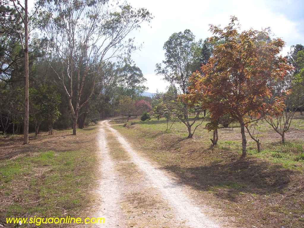 Foto de Siguatepeque, Honduras