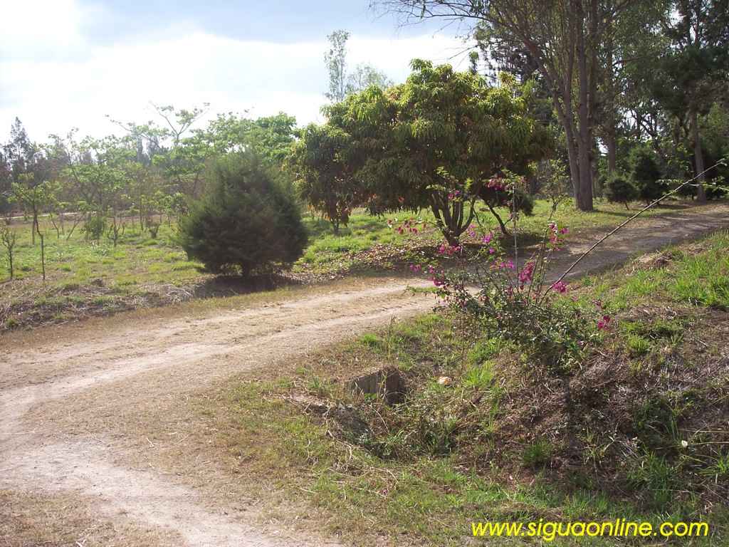 Foto de Siguatepeque, Honduras