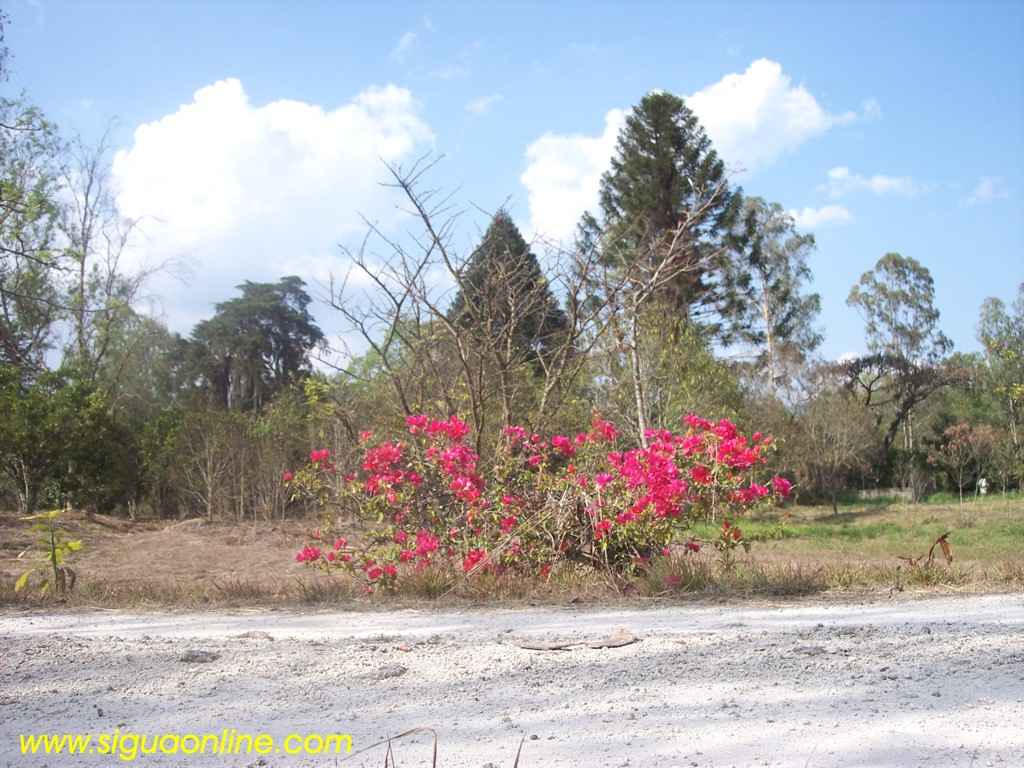 Foto de Siguatepeque, Honduras