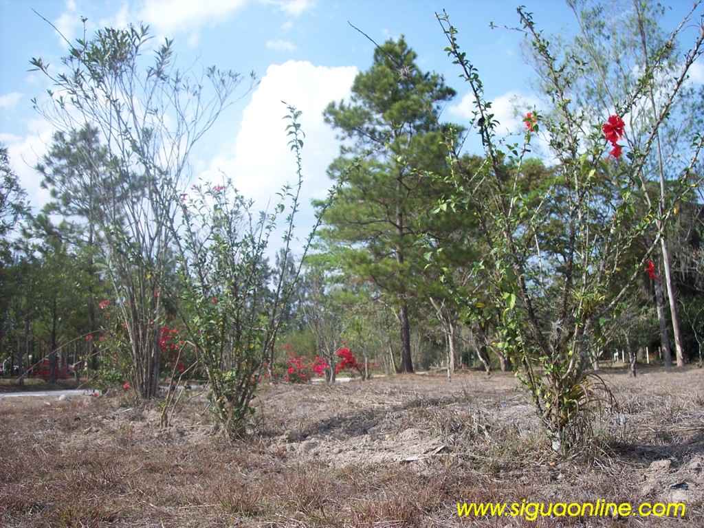 Foto de Siguatepeque, Honduras