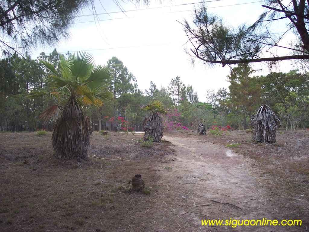 Foto de Siguatepeque, Honduras