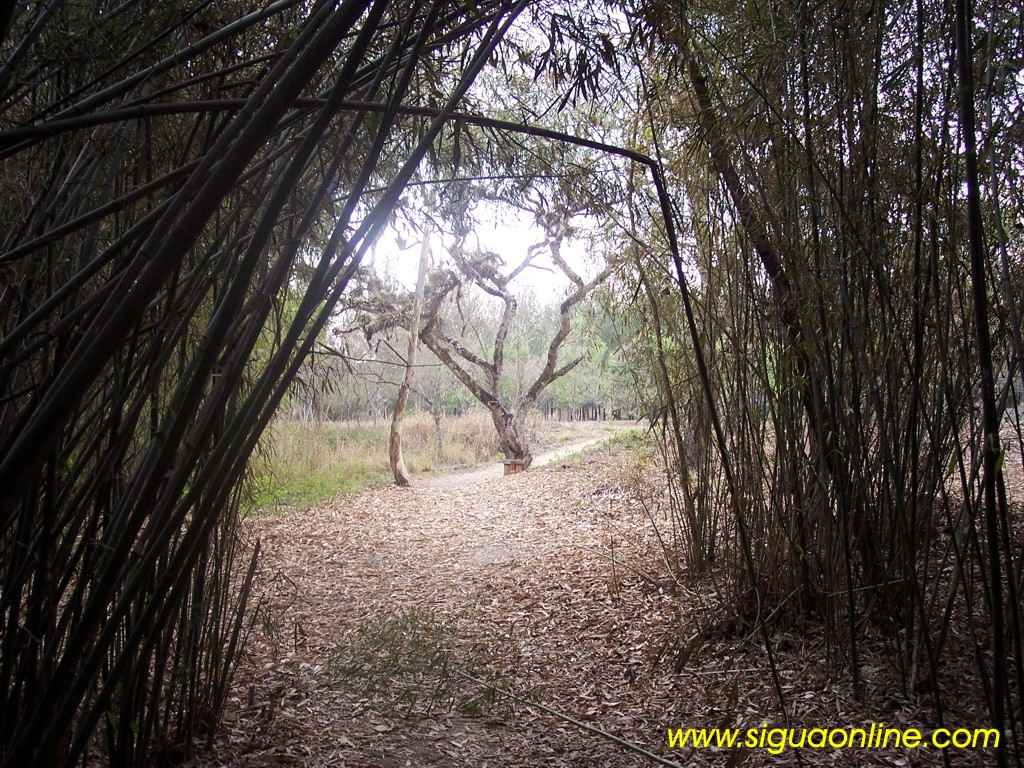 Foto de Siguatepeque, Honduras