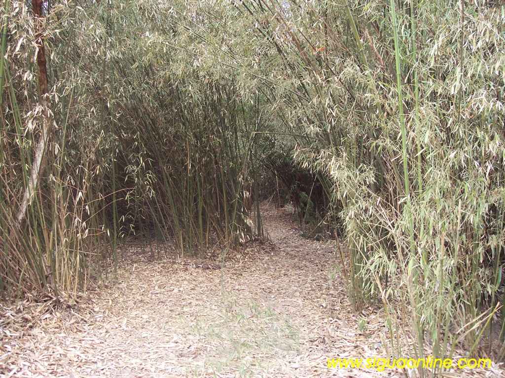 Foto de Siguatepeque, Honduras