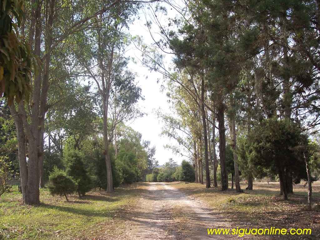 Foto de Siguatepeque, Honduras