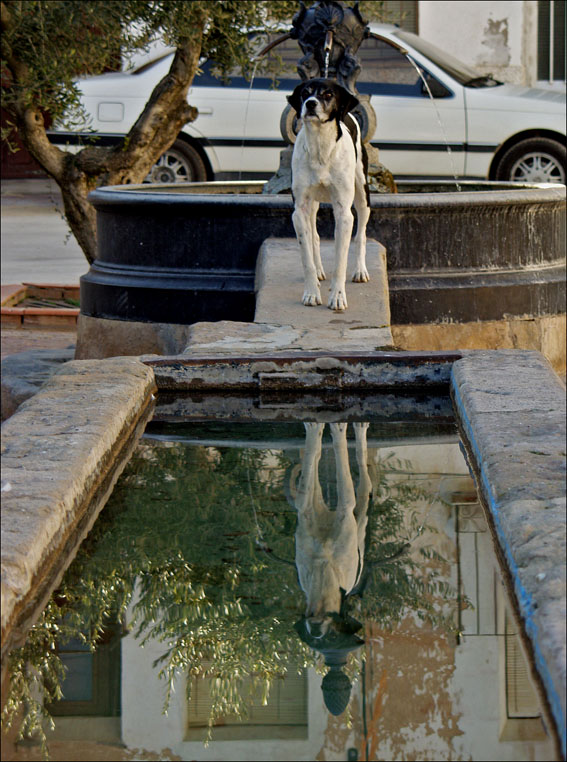 Foto de Alconchel de Ariza (Zaragoza), España