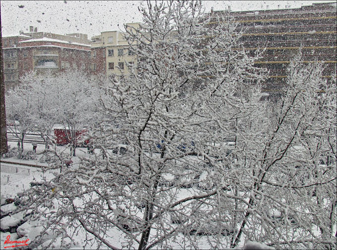 Foto de Zaragoza (Aragón), España