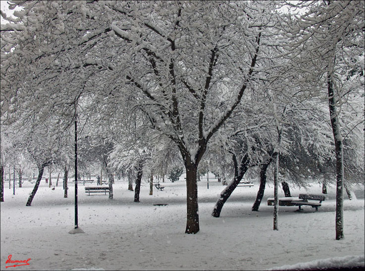 Foto de Zaragoza (Aragón), España