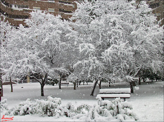 Foto de Zaragoza (Aragón), España