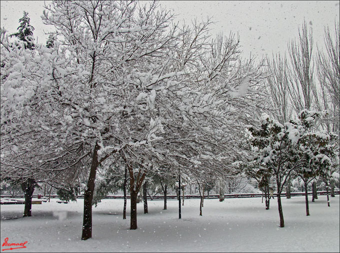 Foto de Zaragoza (Aragón), España