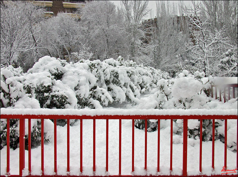 Foto de Zaragoza (Aragón), España