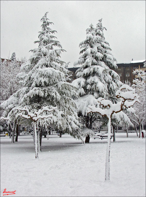 Foto de Zaragoza (Aragón), España