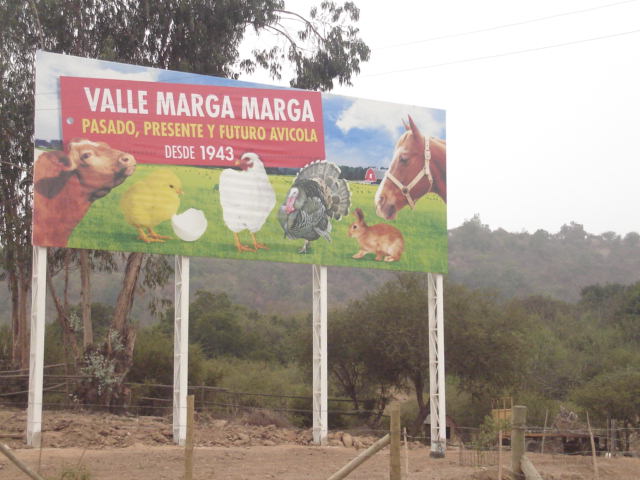 Foto de QUILPUE, Chile