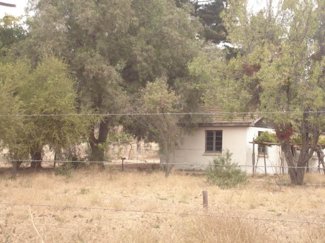 Foto de QUILPUE, Chile