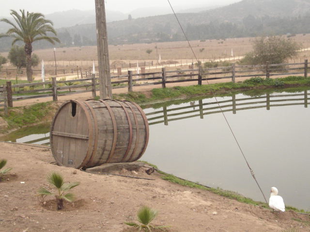 Foto de QUILPUE, Chile