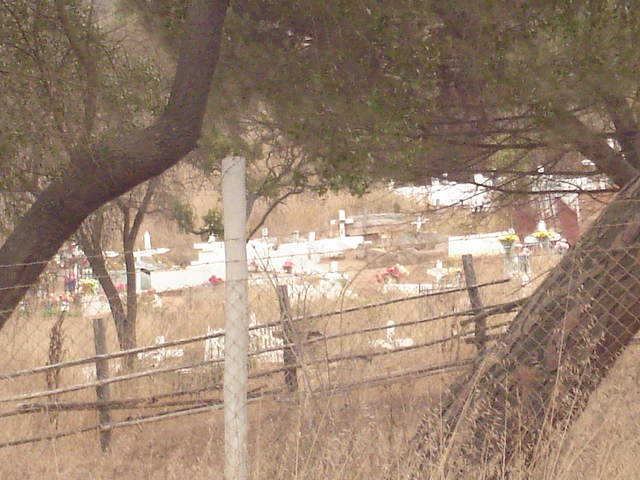Foto de QUILPUE, Chile