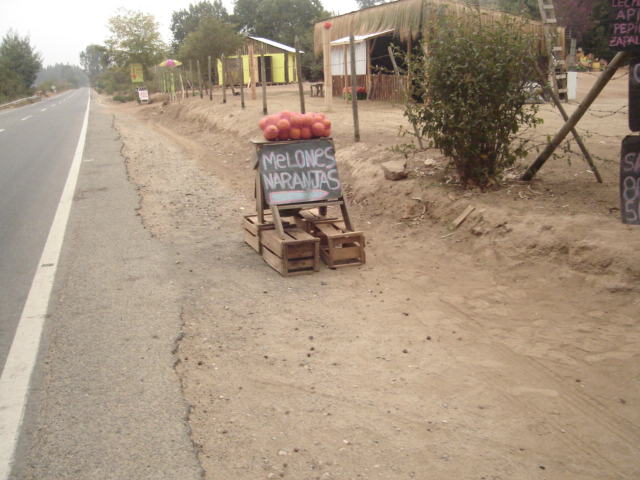 Foto de QUILPUE, Chile