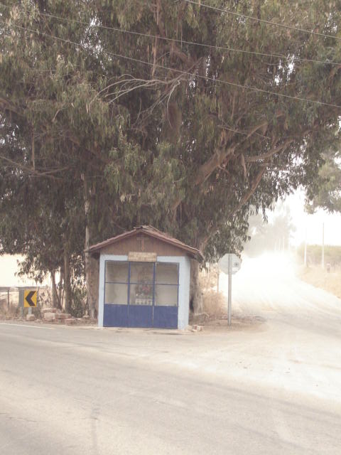 Foto de QUILPUE, Chile