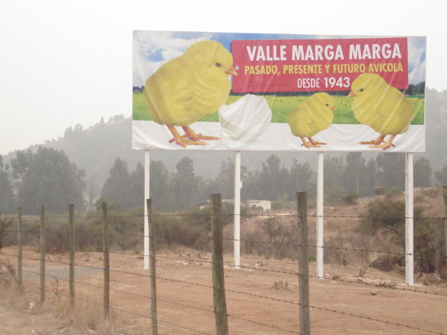 Foto de QUILPUE, Chile