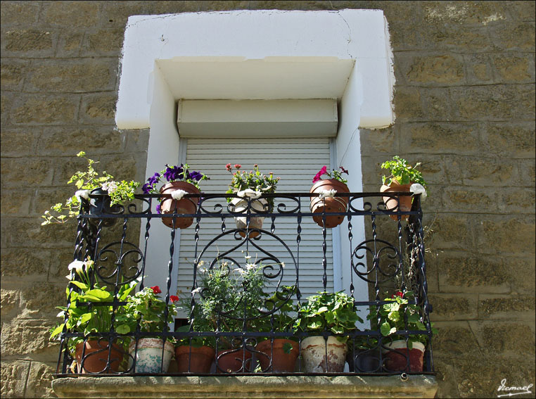Foto de Valpalmas (Zaragoza), España
