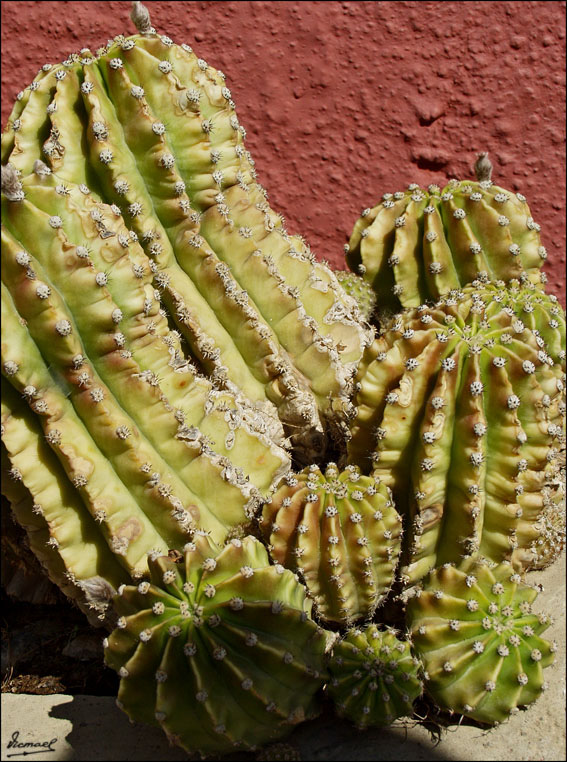 Foto de Valpalmas (Zaragoza), España