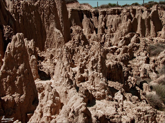 Foto de Valpalmas (Zaragoza), España