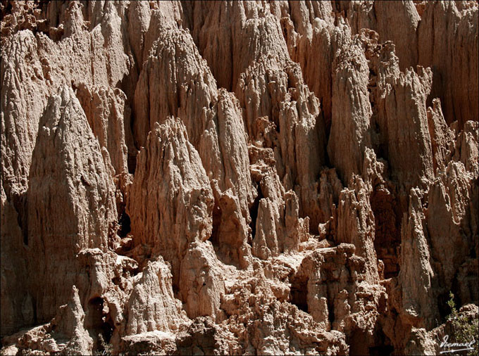 Foto de Valpalmas (Zaragoza), España