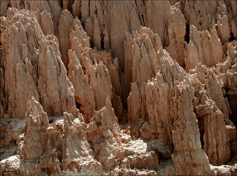 Foto de Valpalmas (Zaragoza), España