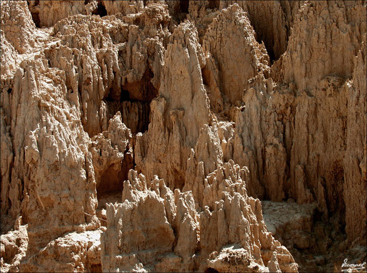 Foto de Valpalmas (Zaragoza), España
