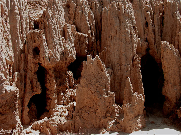 Foto de Valpalmas (Zaragoza), España
